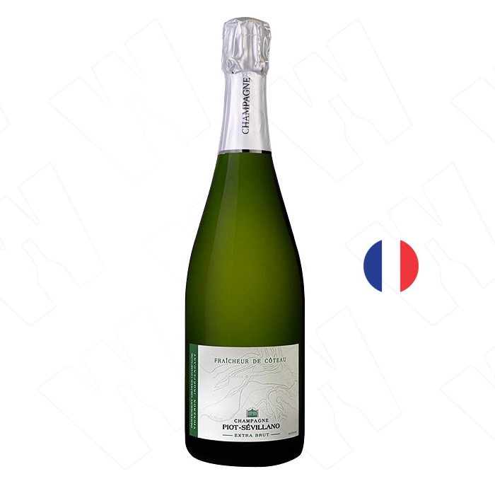 Вино Шампанско Пиот Севиляно Фрешер де Кото Екстра Брут N.V. 0.750 - Champagne Wine Shop