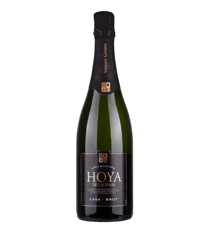 Вино Кава Хоя де Каденс Брут 0.750 - Champagne Wine Shop