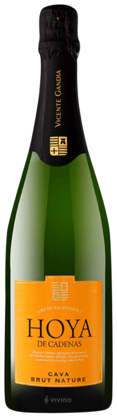 Hoya de Cadenas Cava Brut Nature 0.75L